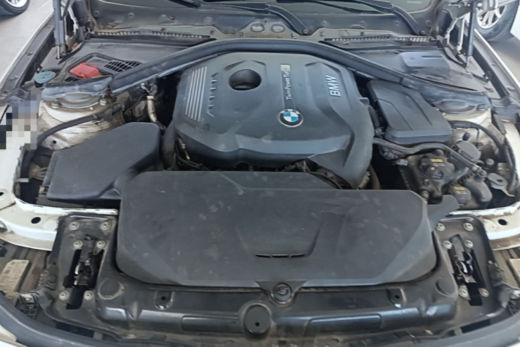 BMW 3 Series 2019 #20 BMW 3 Series 2019 immagine di auto #20