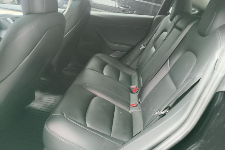 Tesla Model 3 2022 immagine di auto #17