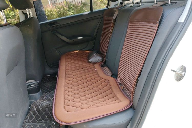 Volkswagen Santana 2021 car image #19