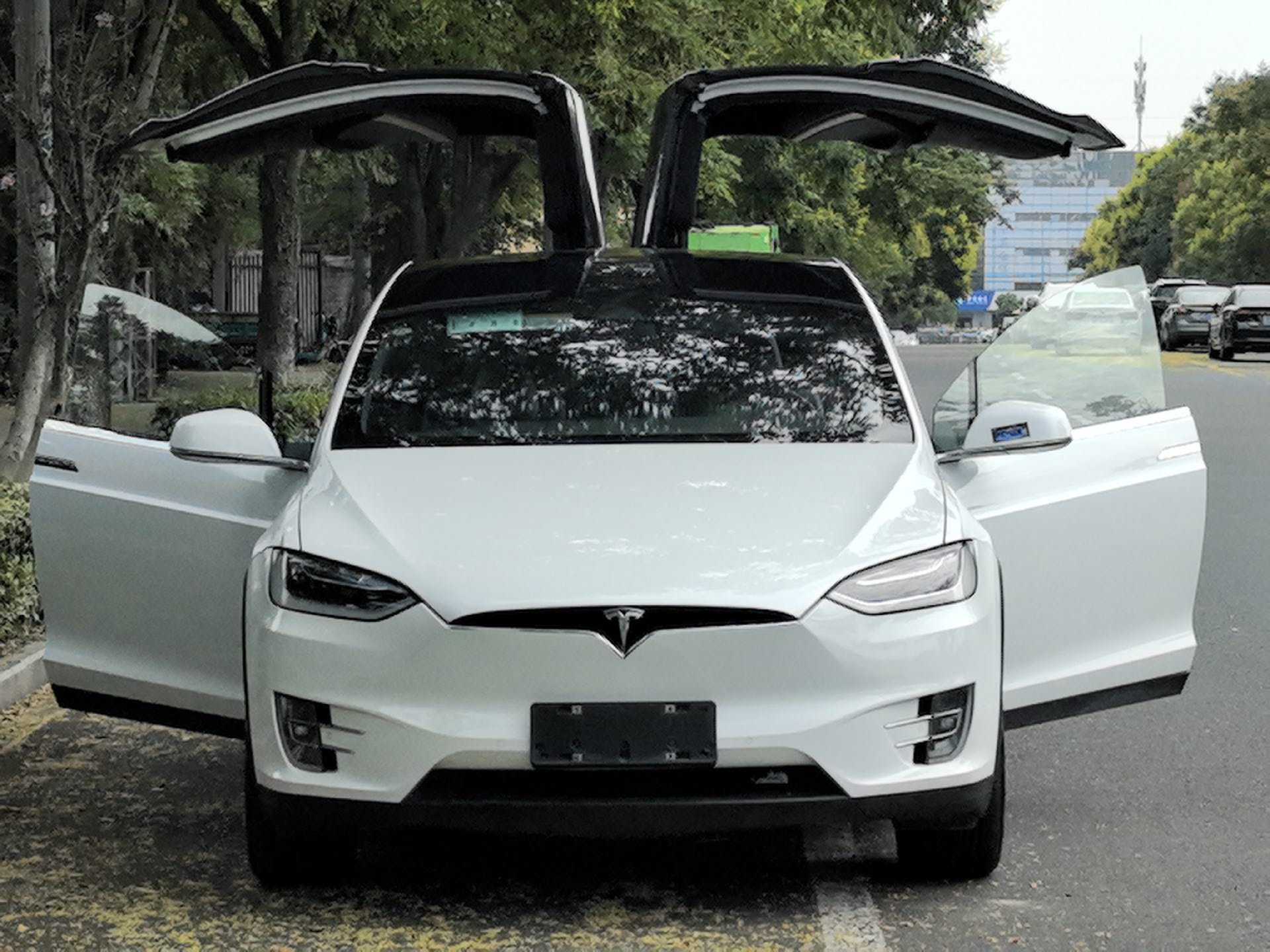 Tesla Model X 2019 #5 Tesla Model X 2019 car image #5