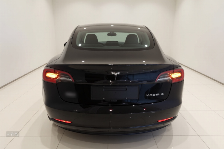 Tesla Model 3 2021 car image #6
