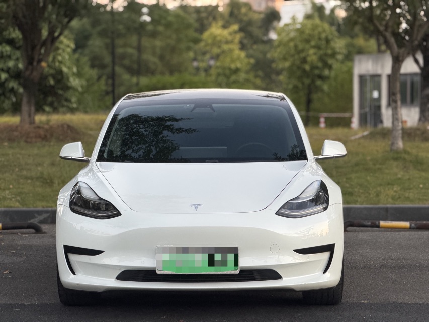 Tesla Model 3 2020 #3 Tesla Model 3 2020 immagine di auto #3