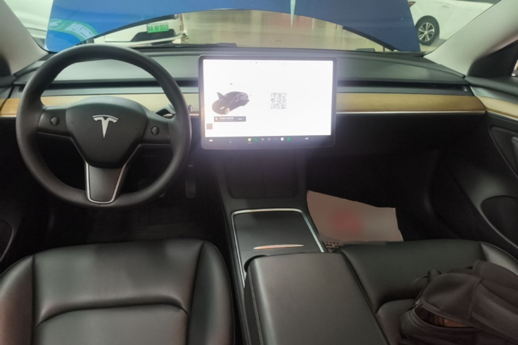 Tesla Model 3 2021 car image #10