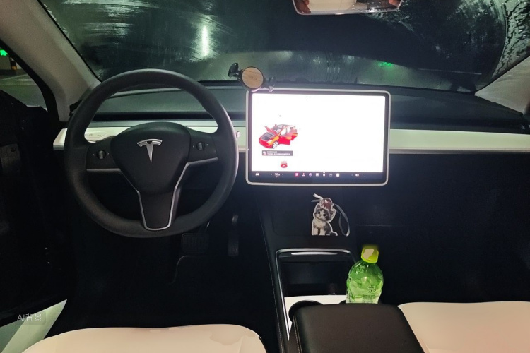 Tesla Model Y 2021 car image #11
