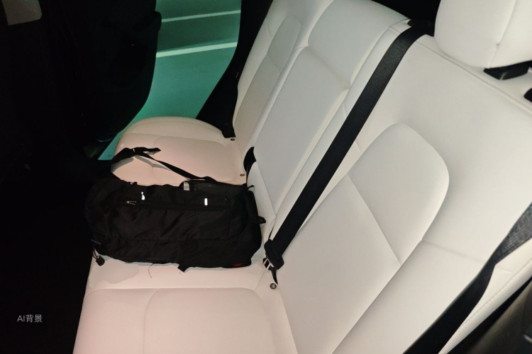 Tesla Model Y 2021 car image #19
