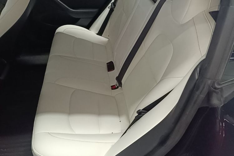 Tesla Model 3 2021 car image #17