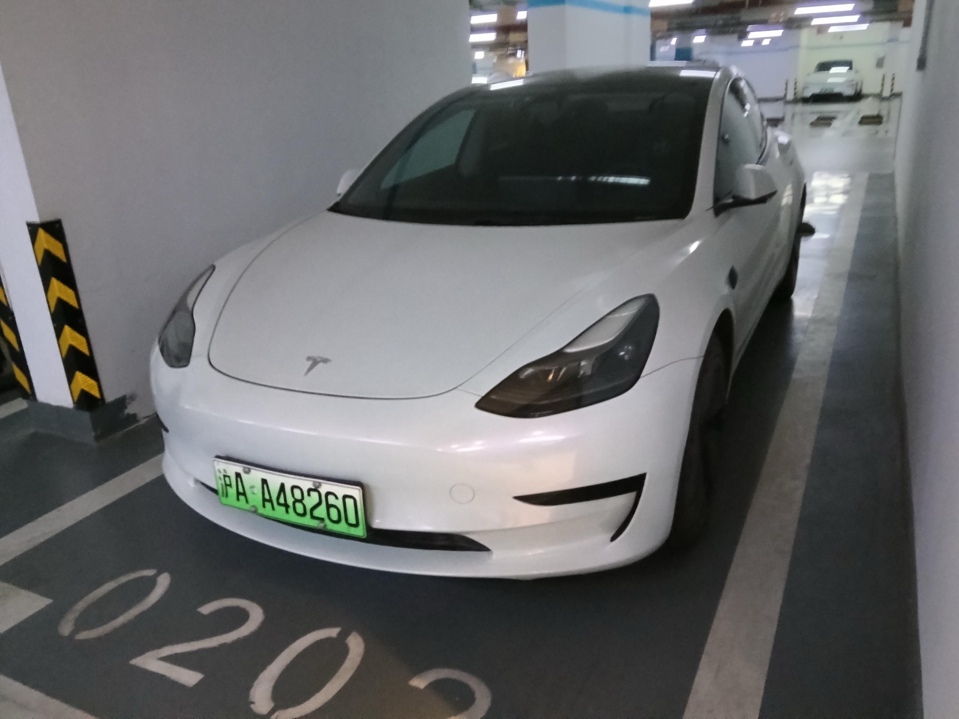 Tesla Model 3 2021 Tesla Model 3 2021 car image