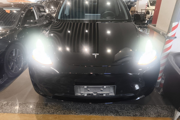 Tesla Model Y 2023 car image #3