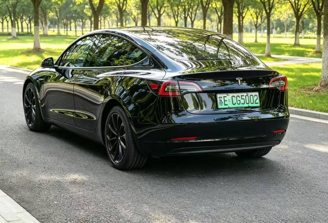 Tesla Model 3 2022 car image #7