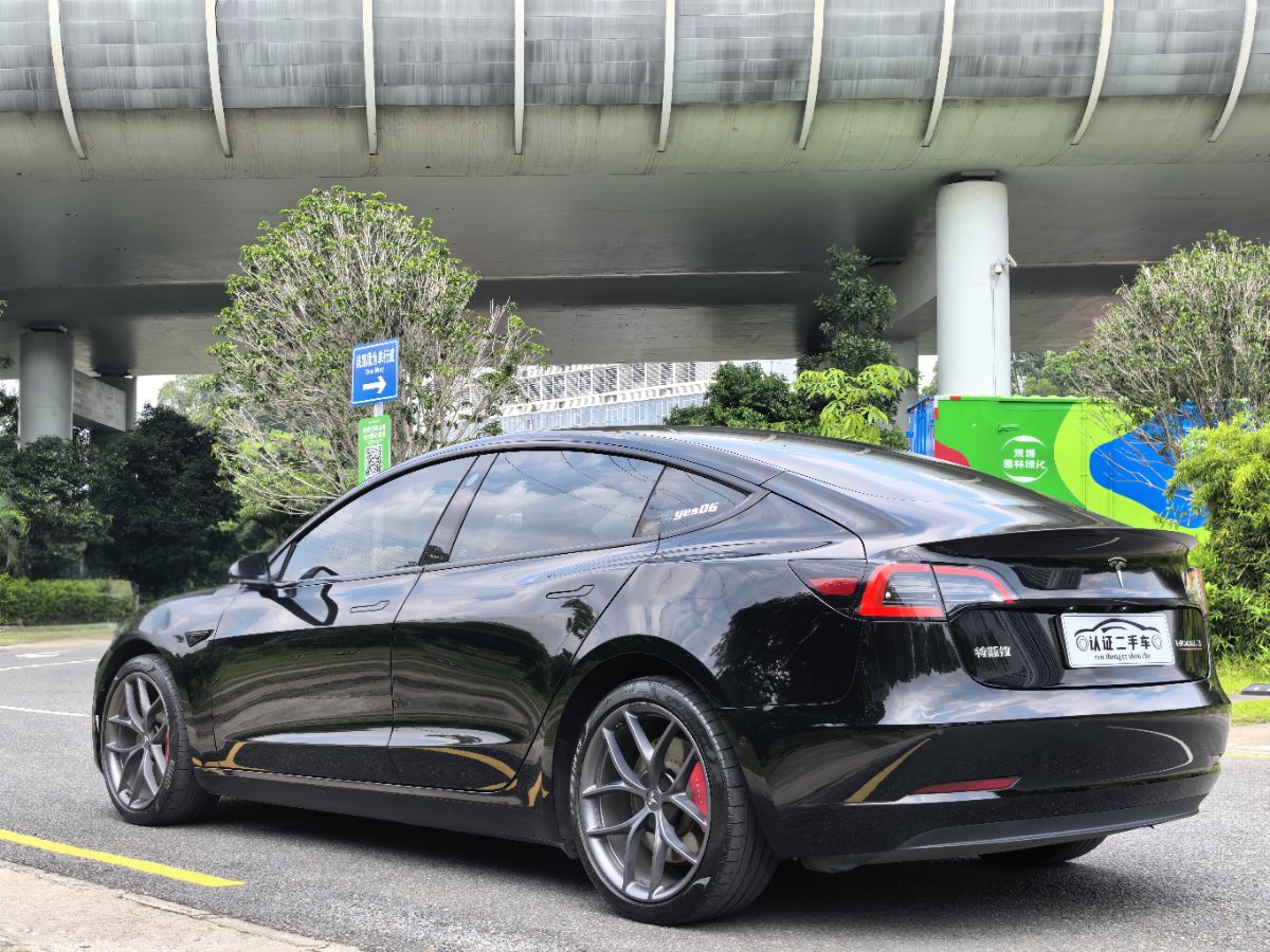 Tesla Model 3 2023 car image #10