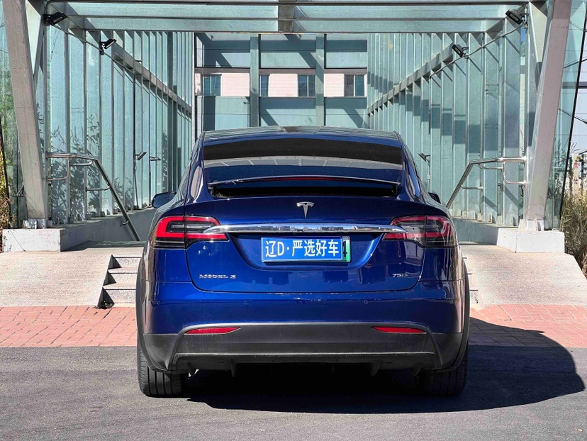 Tesla Model X 2019 car image #5