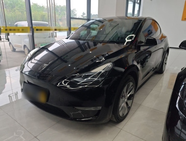 Tesla Model Y 2023 Tesla Model Y 2023 car image
