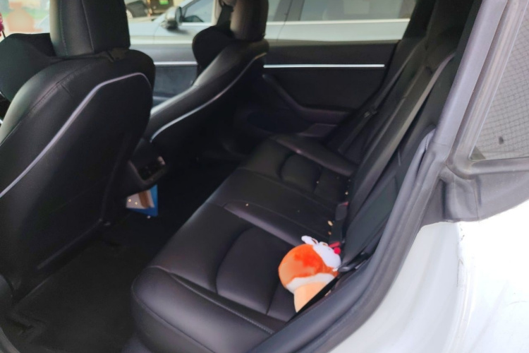 Tesla Model 3 2020 #14 Tesla Model 3 2020 car image #14