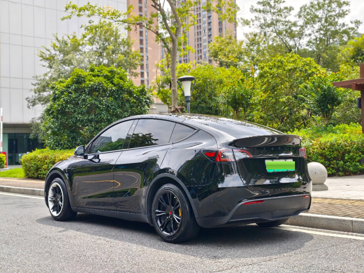 Tesla Model Y 2022 car image #8