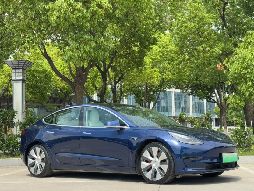 Tesla Model 3 (Imported) 2019 car image #6