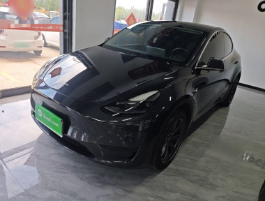 Tesla Model Y 2024 car image 
