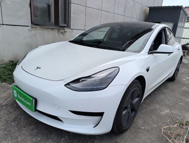 Tesla Model 3 2023 Tesla Model 3 2023 car image