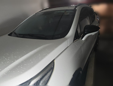 BYD Yuan New Energy 2019 car image 