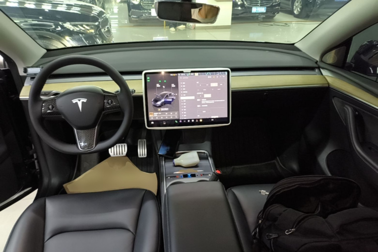 Tesla Model Y 2023 immagine di auto #10
