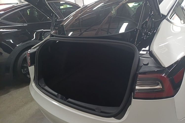 Tesla Model 3 2021 car image #19