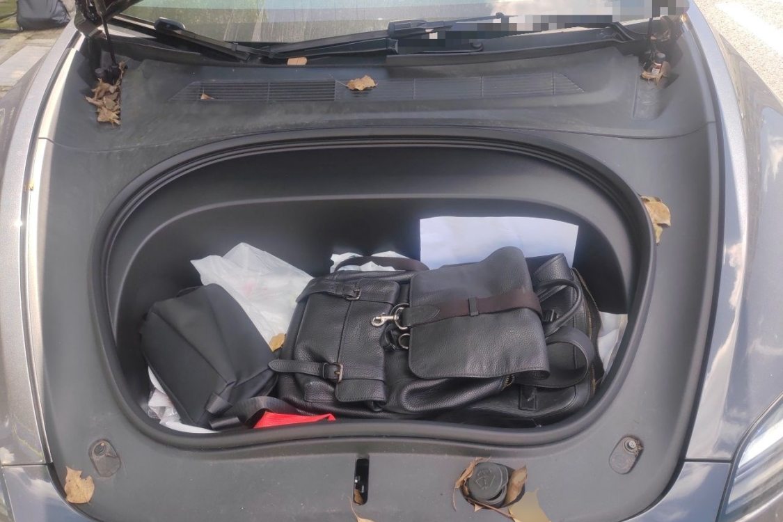 Tesla Model 3 2024 car image #10