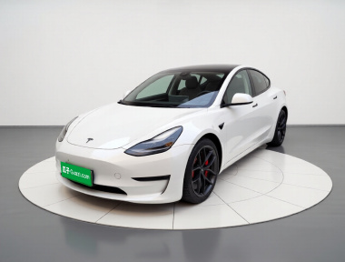 Tesla Model 3 2021 Tesla Model 3 2021 car image