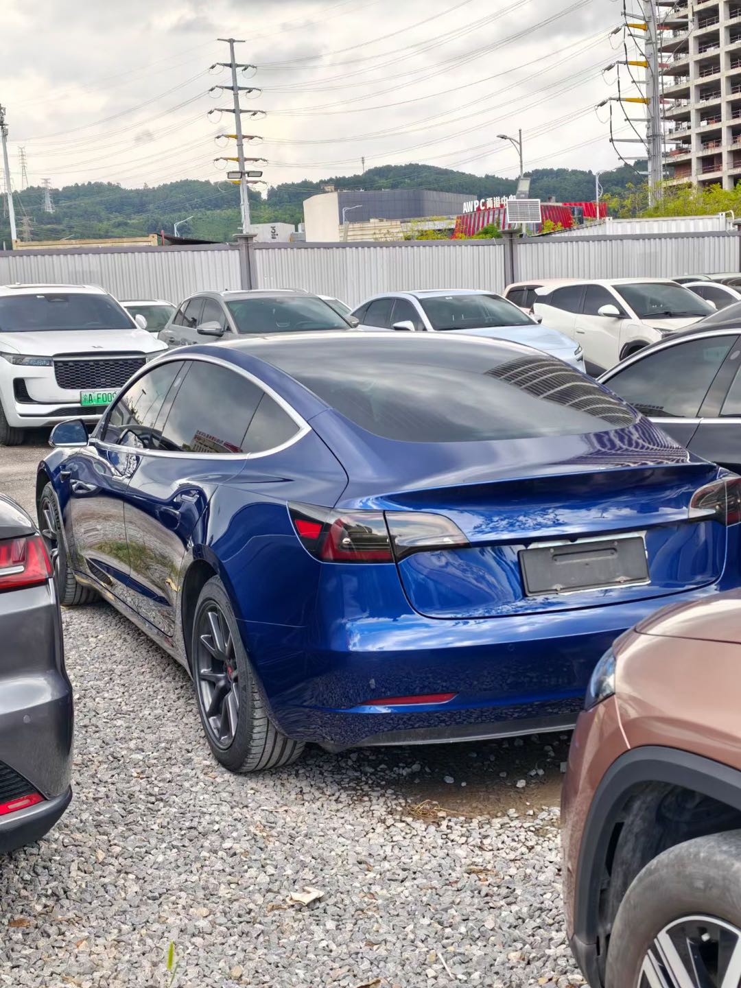 Tesla Model 3 2021 #5 Tesla Model 3 2021 car image #5