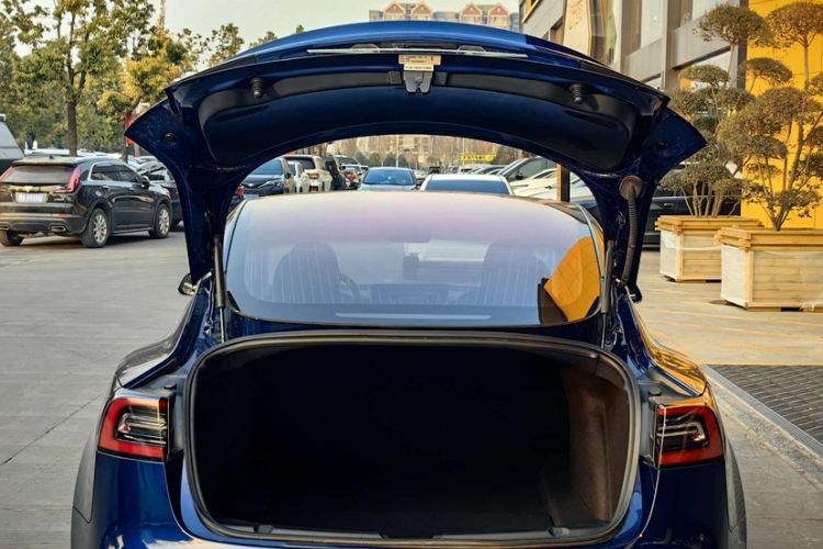 Tesla Model 3 2019 #23 Tesla Model 3 2019 car image #23