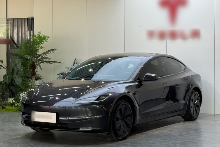 Tesla Model 3 2024 #2 Tesla Model 3 2024 car image #2
