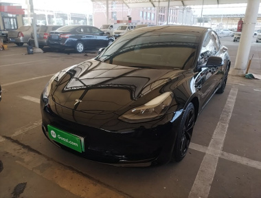 Tesla Model 3 2022 car image 