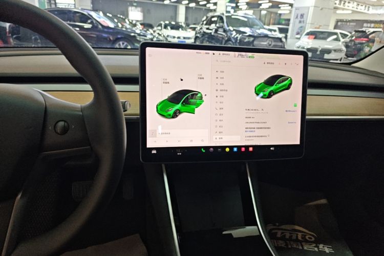 Tesla Model 3 2020 #13 Tesla Model 3 2020 car image #13