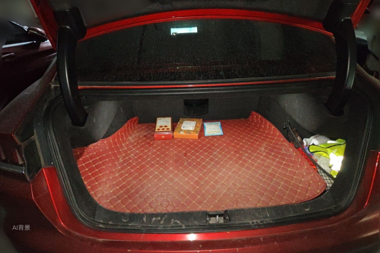 BYD Han 2020 car image #21