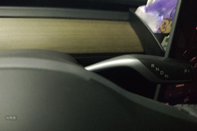 Tesla Model Y 2023 car image #16
