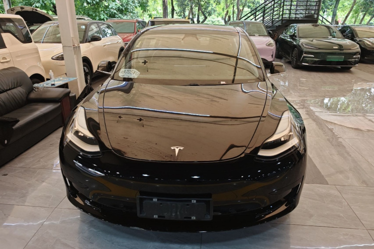 Tesla Model 3 2020 #3 Tesla Model 3 2020 car image #3