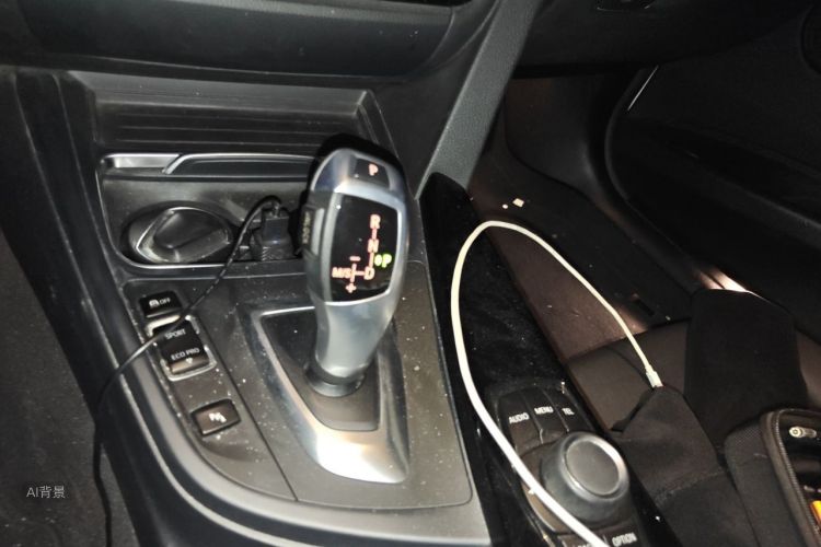 BMW 3 Series 2017 #16 BMW 3 Series 2017 car image #16