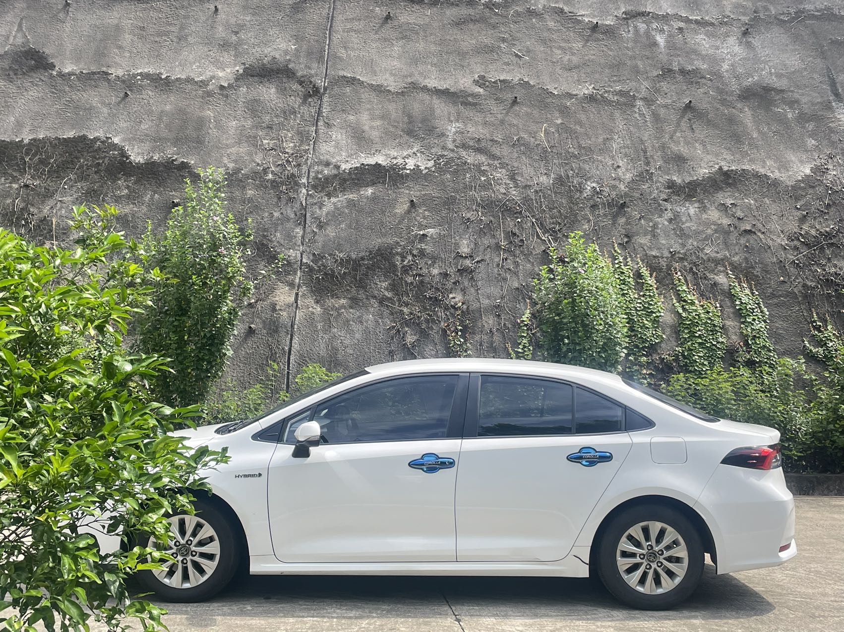 Toyota Corolla 2024 #11 Toyota Corolla 2024 car image #11