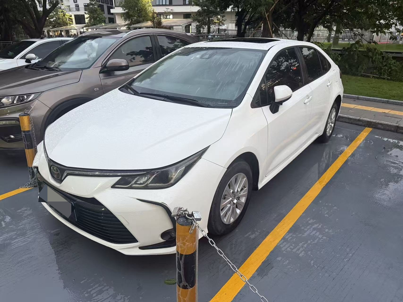 Toyota Corolla 2019 car image 