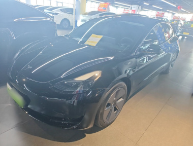 Tesla Model 3 2023 car image 