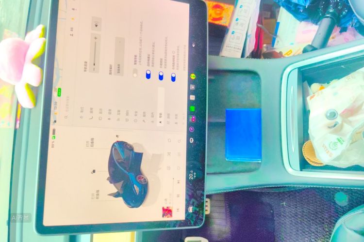Tesla Model 3 2022 car image #15