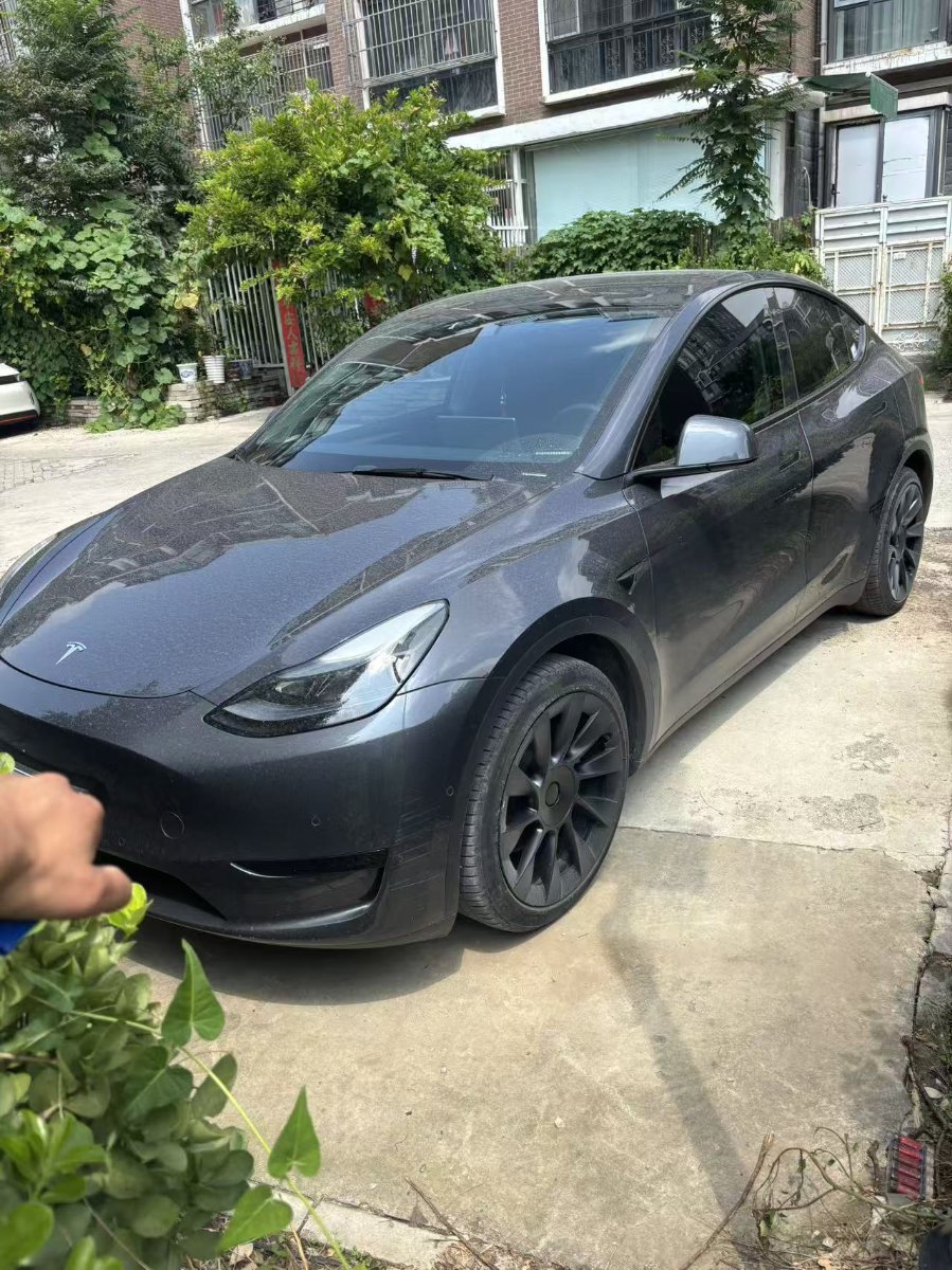 Tesla Model Y 2022 Tesla Model Y 2022 car image