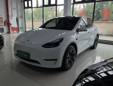 Tesla Model Y 2021 car image 