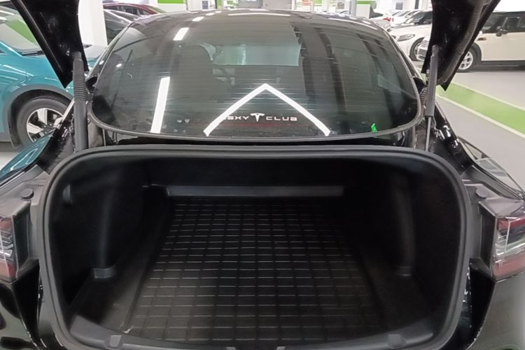 Tesla Model 3 2021 car image #19