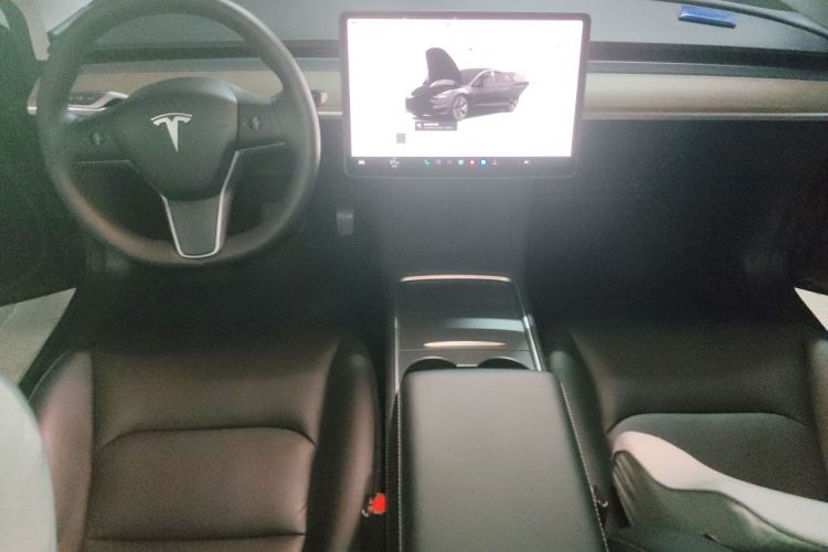 Tesla Model 3 2022 car image #7