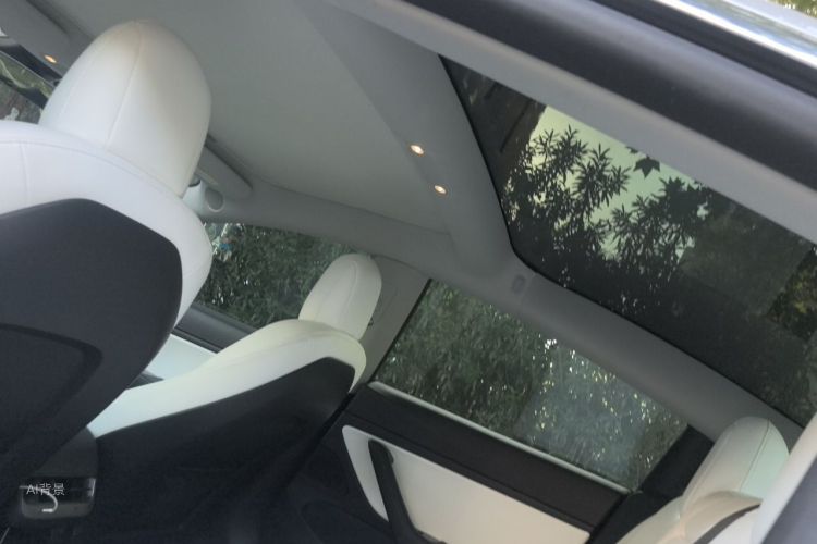Tesla Model 3 2020 #20 Tesla Model 3 2020 car image #20