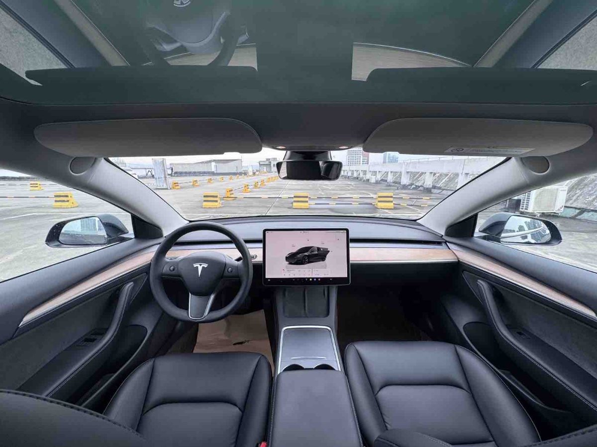 Tesla Model 3 2022 car image #7