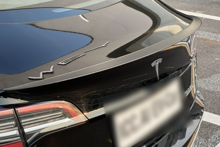 Tesla Model 3 2022 car image #8
