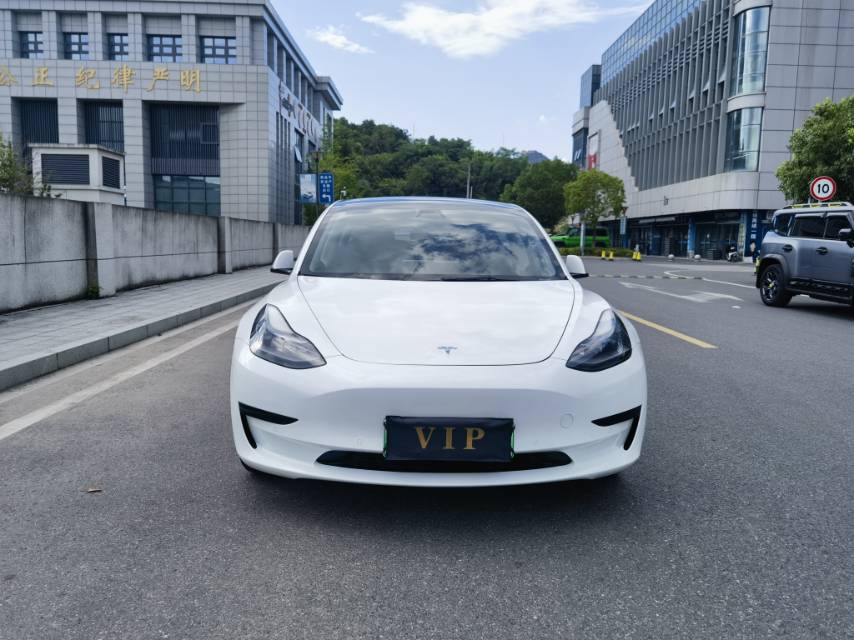 Tesla Model 3 2021 #2 Tesla Model 3 2021 car image #2