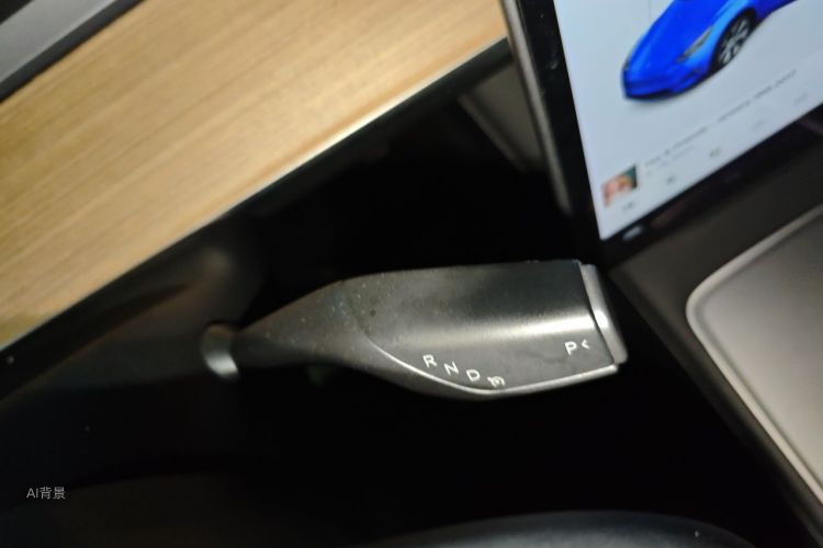 Tesla Model Y 2021 car image #16