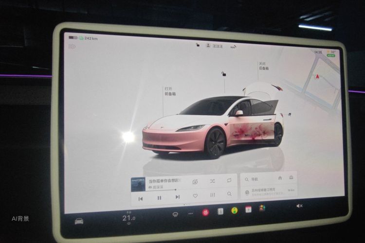 Tesla Model 3 2024 car image #13