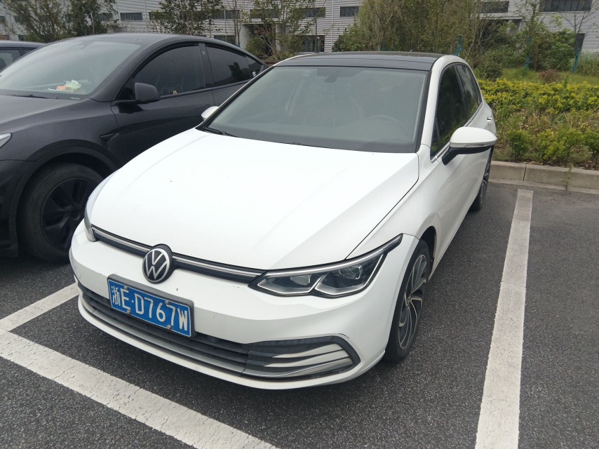 Volkswagen Golf 2021 Volkswagen Golf 2021 immagine di auto